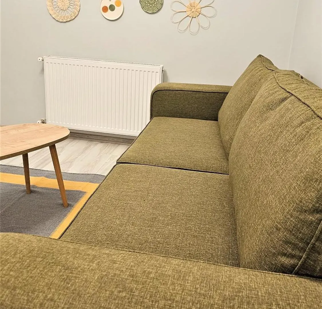 New - Luxury - Spacious Flats At The Center 伊斯坦布尔 0*,