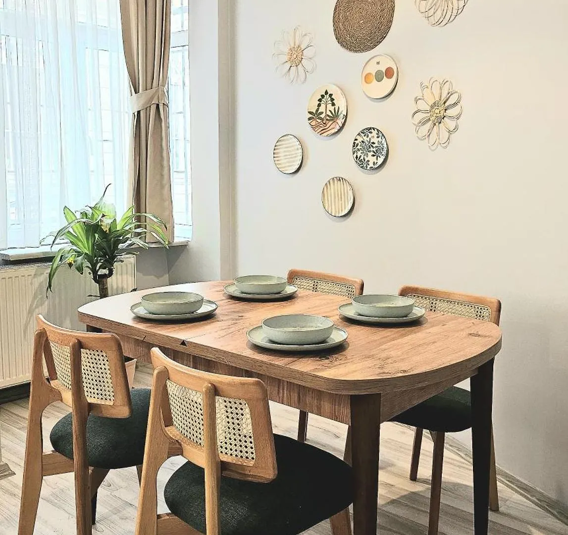New - Luxury - Spacious Flats At The Center 伊斯坦布尔 公寓